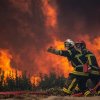 Acţiune de şapte ore a pompierilor, pădurarilor şi voluntarilor pentru stingerea unui incendiu izbucnit pe o plantaţie silvică