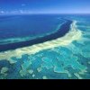 Alertă pentru Marea Barieră de Corali: Advertismentul oamenilor de știință
