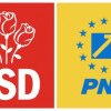 BEC a admis constituirea alianței electorale PSD-PNL pentru alegerile europarlamentare