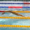 Campionatele Mondiale de înot iarna 2024 de la Tallinn: înotătorul bulgar Ţanko Ţanko stabilit două recorduri mondiale