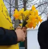 De 8 Martie au ieșit să împartă flori și au primit pumni: s-a iscat și prima bătaie cu iz electoral