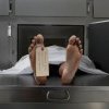 Descoperire macabră - Cadavrul unei femei, în stare de putrefacţie, găsit pe un teren din Petroşani