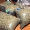 Fabulos cum ajung drogurile în România: 16 kg de canabis au fost găsite în casa unui constănțean