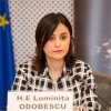 ForMin Odobescu receives a Georgian Parliament's delegation, addressing Georgia's EU path