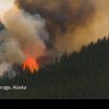 Incendiu de pădure pe 6 hectare, în zona Valea Doftanei