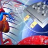 Inovație crucială în tehnologia stimulatoarelor cardiace: noua descoperire va elimina nevoia de a schimba bateriile