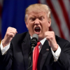 Meritocrație marca Donald Trump: nora politicianului, plasată în conducerea Partidului Republican