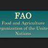 Moldova joacă tare cu Rusia. Nu vrea să permită unei delegații ruse să participe la Conferința FAO de la Chișinău/ Reacția ONU