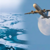 Motivul pentru care avioanele de pasageri nu zboară deasupra Antarcticii: această decizie a fost stabilită în anii 1950