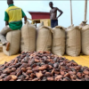 Nu se mai oprește! Preţul pentru cacao atinge un nou prag istoric. Consumatorii vor simți curând impactul