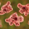 O infecție bacteriană periculoasă se răspândește cu repeziciune, iar 30% din cazuri sunt fatale: autoritățile sunt în alertă