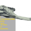 Oamenii de știință au avut un șoc când au descoperit un craniu uriaș, vechi de 16 milioane de ani/ VIDEO