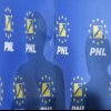 PNL și-a stabilit candidații în Constanța - Surpriză la Consiliul Județean: primar de comună vs președintele ales tot din partea PNL