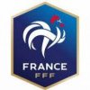 Șeful arbitrilor din Franța demis de federație