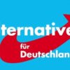 Șoc pe scena politică din Germania: AfD ar putea fi interzis