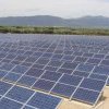 Societatea de Administrare a Participaţiilor în Energie va finaliza în mai un parc fotovoltaic în Valea Călugărească