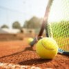 Tenis: perechea româno-franceză Victor Cornea/Theo Arribage pierde finala de dublu la Napoli (challenger)