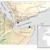 Tiruri de rachete în Marea Roșie și Golful Aden: schimb intens de focuri între americani și rebelii houthi