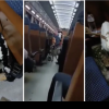 Tren de pasageri, invadat de o turmă de capre, după ce un ardelean s-a gândit să facă transhumanța cu CFR / VIDEO
