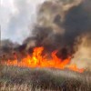 VIDEO A luat foc Delta Neajlovului