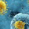 Virusul care afectează 95% din populația lumii: Au fost găsite punctele slabe și ar putea apărea un tratament