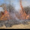 Incendiu de vegetație uscată în comuna Livezile. Pompierii din Aiud intervin cu o autospecială