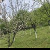 Vremea în Transilvania și în țară până în 7 aprilie: De la furtuni de primăvară la temperaturi de vară. Prognoza meteo pe REGIUNI
