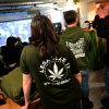 Germany makes cannabis possession and cultivation legal from April