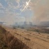 VIDEO. Incendiu violent în sudul Capitalei: Arde Delta Văcăreşti