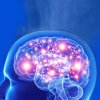 Cercetătorii din SUA vor să creeze o „hartă” a creierului uman care ar putea ajuta la tratarea afecțiunilor neurologice