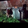 Tânăr rănit, captiv într-o mașină răsturnată – accident la Rugășești