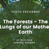 ”The Forest – The Lungs of our Mother Earth”, proiect Erasmus, derulat de Fundația Zamolxes la Câmpina