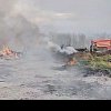 Incendii de vegetație uscată, la Lugoj și Valea Lungă