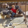 Asociația Tierhilfe Hoffnung Adăpostul de câini Smeura inaugurează primul Centru de sterilizare și înregistrare din România