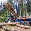Mioveni: Cetățenii din Făgetu pot achiziționa lemne de foc la preț avantajos!