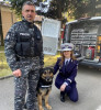 IPJ Dâmbovița caută iubitori de animale pentru un post vacant de agent de poliție – conductor câine