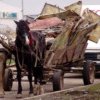 Prins cu o căruță plină de deșeuri și ,,taxat” cu 15.000 de lei! Căruțașul din Târgoviște a rămas și fără căruță