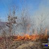 Târgoviște: Incendiu de vegetație în apropierea parcului din zona Complexului Turistic de Natație