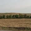 Cu acordul APM Constanta: Un teren arabil din extravilanul comunei Topalu va fi impadurit