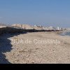 Imagini spectaculoase surprinse pe plaja din zona Rex din Statiunea Mamaia (GALERIE FOTO+VIDEO)