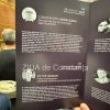 LIVE: Incep conferintele Dilema la Constanta. Ce subiecte sunt prezentate in prima zi (Galerie FOTO)