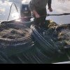 Tulcea: Incepe perioada prohibitiei pescuitului la scrumbie in apele Deltei Dunarii