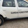 Garda Forestieră Focșani a confiscat 110 metri cubi de lemn în Tulcea