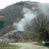 Legea de trecere a unor drumuri forestiere de la Romsilva în administrarea Consiliilor locale – neconstituţională