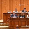 Ministrul Agriculturii: Fermieri din Vrancea cer să NU se mai folosească rachetele antigrindină
