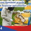 Prefectul Halici: Finanțări substanțiale pentru revigorarea sectorului apicol