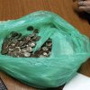ULTIMA ORĂ! VIDEO/FOTO! Comoara găsită de doi căutători de vestigii: 151 de monede vechi