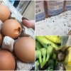 VIDEO. Excremente de șoareci, fructe stricate și ouă sparte, la un magazin Lidl din Timișoara. A fost închis temporar