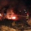 INCENDIU de vegetație uscată la ieșire din Sebeș spre Cut: Au intervenit pompierii