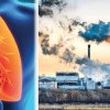 Specialiştii Institutului „Marius Nasta“ susţin că există o legătură între poluare şi tuberculoză